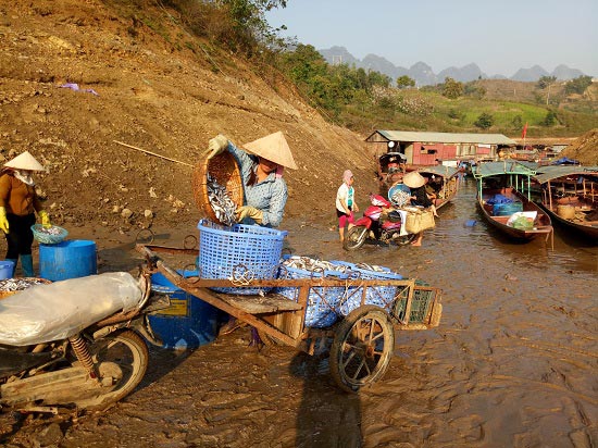 Chùm ảnh: Kiếm bộn tiền từ nghề cá khô sông Đà - 5