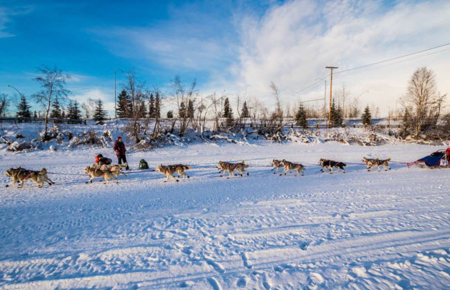 Fairbanks, Mỹ: Nằm trong khu bảo tồn Denali, nhiệt độ trung bình vào mùa đông ở thành phố Fairbanks chỉ khoảng -22 độ C.