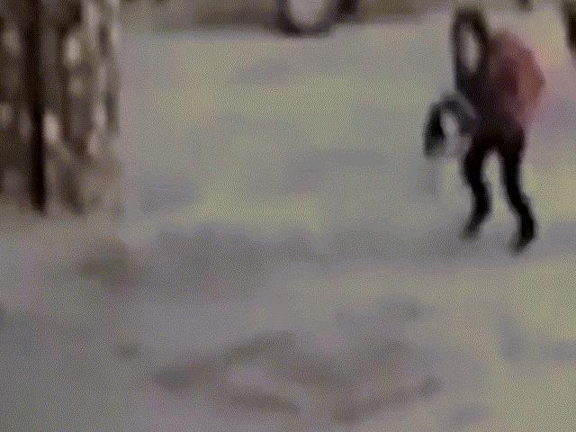 Video: Chó pit bull lao vào bé gái Thổ Nhĩ Kỳ và diễn biến kinh hoàng
