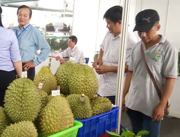 Thái Lan &#34;mượn&#34; Việt Nam bán nửa tỉ USD trái cây sang TQ - 1
