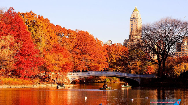 New York, Mỹ có một mùa thu rất rực rỡ.
