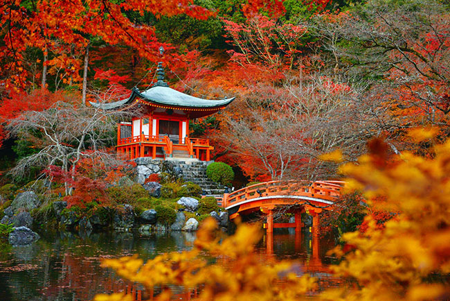 Kyoto vào thu đẹp đến nao lòng.
