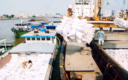 Xuất khẩu gạo Việt Nam: Cần học bơi ra khỏi… “bể cá cảnh” - 1