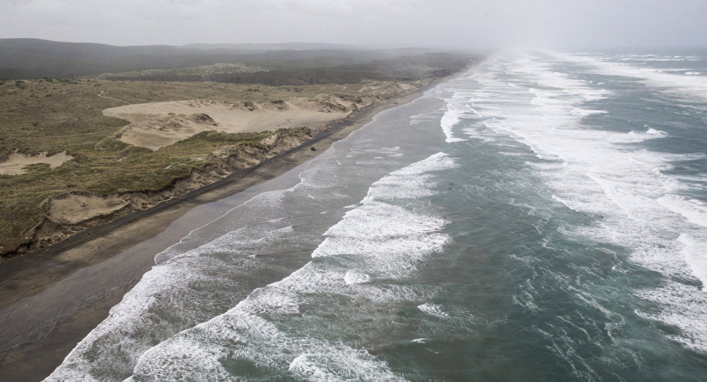 New Zealand: Tưởng búp bê trôi nổi trên biển, không ngờ là em bé - 1