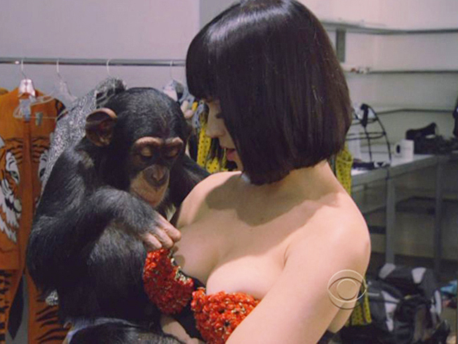 Trong một buổi chụp hình vào năm 2009, nữ ca sỹ Katy Perry đã đem cả một con tinh tinh vào studio để cùng chụp ảnh. 