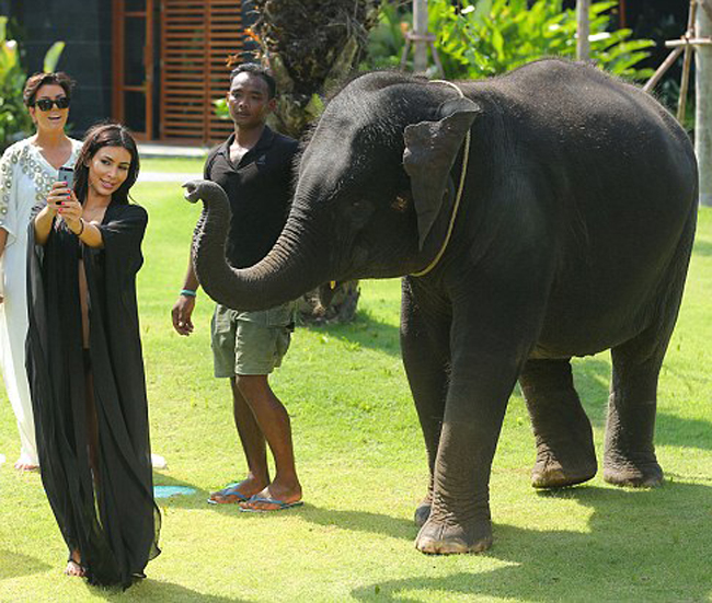 Sau khi hoàn thành trải nghiệm thú vị kết hợp với việc ghi hình cho chương trình thực tế, Kim siêu vòng 3 đã dùng điện thoại để chụp ảnh "tự sướng" với chú voi. 