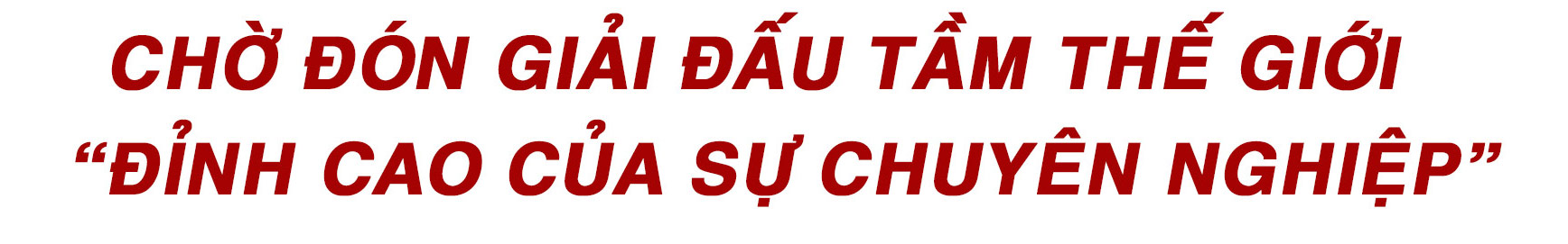 Việt Nam đăng cai F1: Cú hích lịch sử và giấc mơ sắp thành sự thực - 12