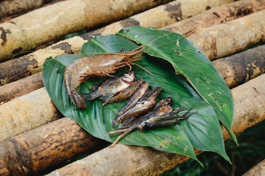 Bộ lạc từng ăn thịt người, sống hoang dã và nguyên thủy nhất thế giới - 5