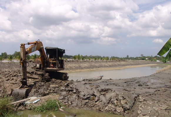 Long An: Cá tra giống chết trắng ao, nông dân trắng đêm &#34;giải cứu&#34; - 5