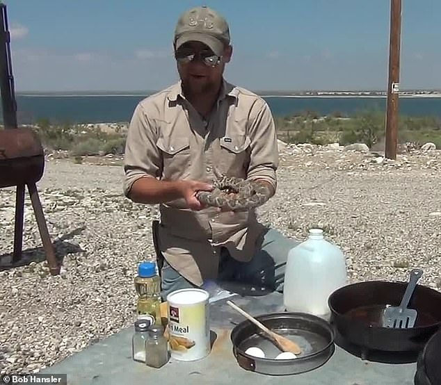 Mỹ: Bị rắn cực độc cắn, 1 tháng sau trả thù bằng cách nấu con khác để ăn - 1