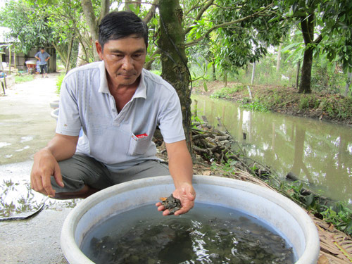 Đổi đời thành tỷ phú miền Tây nhờ nuôi loài bò sát dưới ao bèo - 2