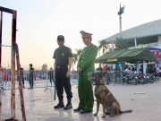 Tin tức trong ngày - Cảnh sát siết chặt kiểm tra, đưa &quot;cảnh khuyển&quot; tới sân Mỹ Đình làm nhiệm vụ