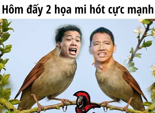 Hai &#34;họa mi&#34; của đội tuyển Việt Nam đang hót cực mạnh.