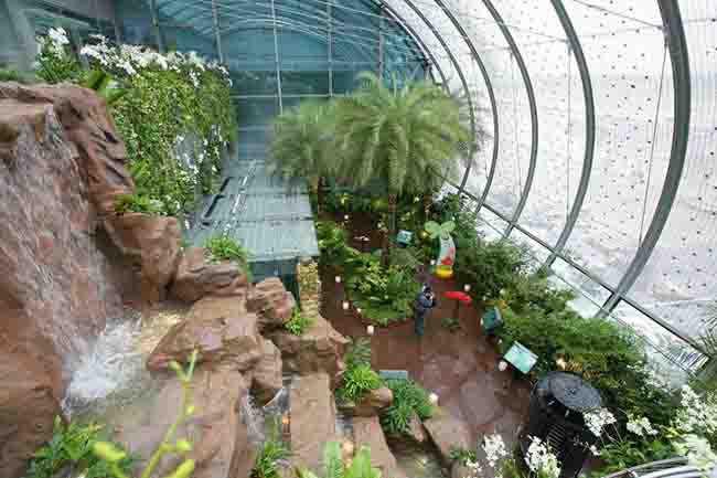 Sân bay quốc tế Changi Singapore có diện tích 15 triệu mét vuông. Sân bay Changi có 13.000 nhân công. Sân bay rất đẹp với thác nước và khu vườn trong nhà.