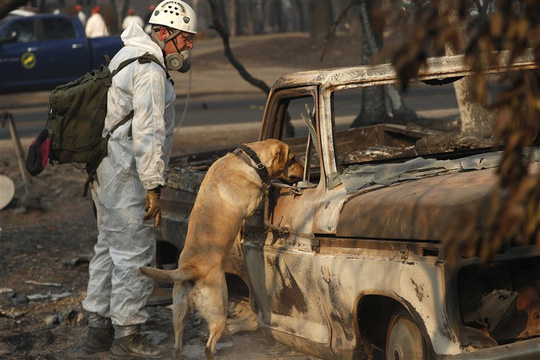 Cháy rừng California: Hơn 1.000 người mất tích, khói độc phát tán hàng trăm km - 1