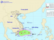 Tin tức trong ngày - Áp thấp nhiệt đới giật cấp 8 hướng vào bờ, khu vực phía Nam hứng mưa lớn
