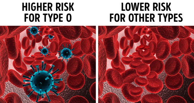 Nếu có nhóm máu O bạn cần biết 7 điều này trước khi quá muộn - 4