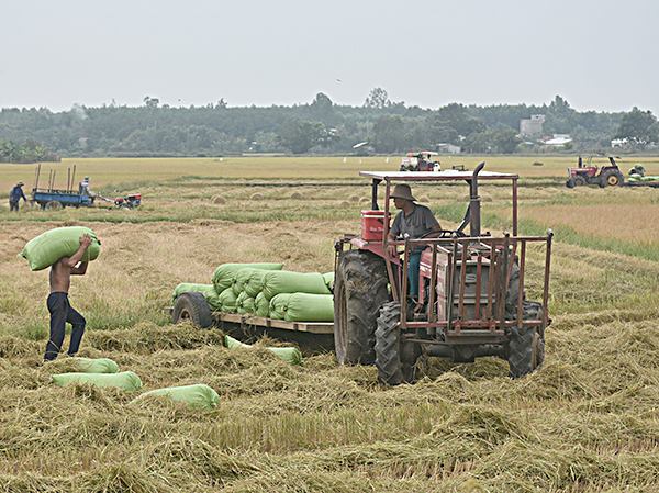 Bão số 9 gây sóng lớn ở đảo Phú Quý, Vũng Tàu nước biển dâng nhanh - 12