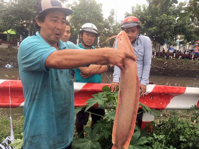 Người Sài Gòn bắt được cá trê vàng sau trận mưa kỷ lục