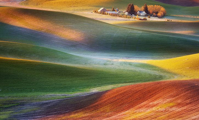 Frosty morning, Palouse, Hoa Kỳ