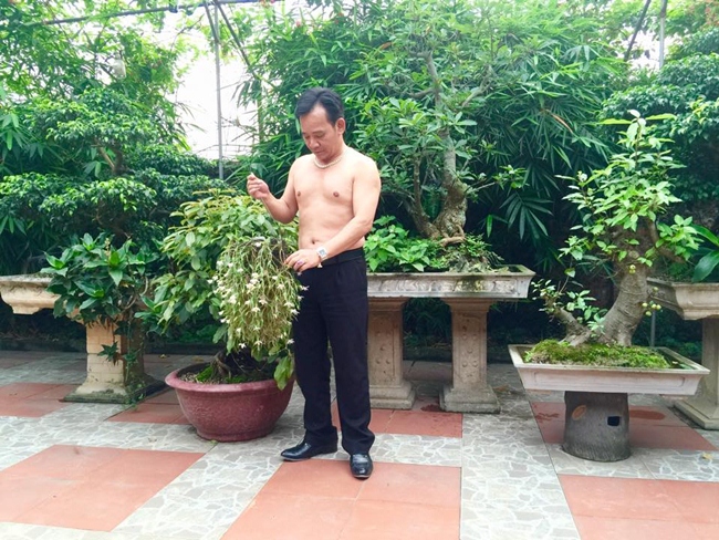 Nghệ sĩ Quang Tèo khoe body khi về thăm ngôi nhà vườn rộng 1000m2 ở ở ngoại thành thuộc Đồng Trúc, Thạch Thất, Hà Nội. 
Quang Tèo cho biết những loại cây này không phải quý hiếm gì nhưng là công sức anh sưu tầm được từ những lần đi diễn nên bản thân rất trân trọng.