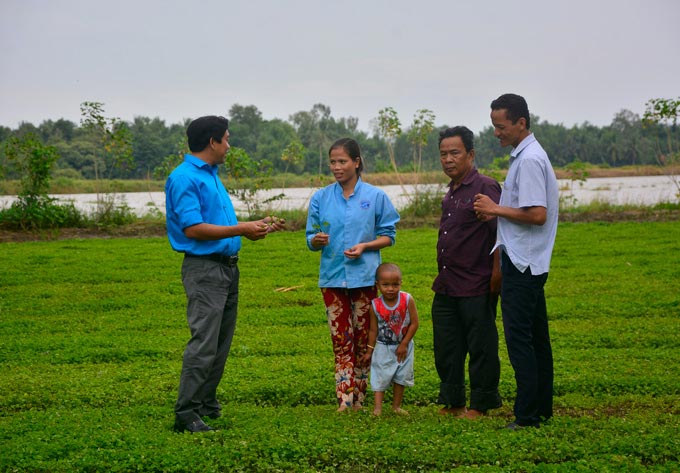 Lạ mà hay: Chỉ trồng loài rau mọc hoang mà kiếm bộn tiền - 3