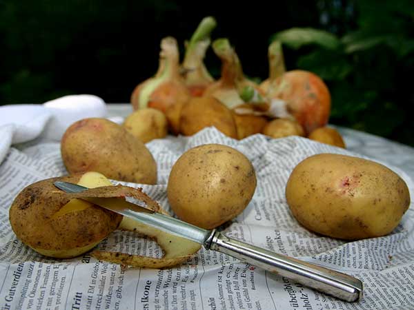 Lợi ích sức khoẻ không ngờ của vỏ khoai tây - 1