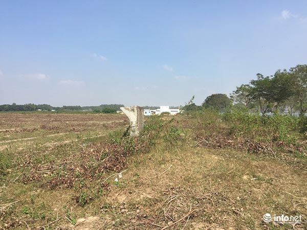 Đô thị “ma” Nhơn Trạch, Đồng Nai: La liệt dự án bỏ hoang, chung cư không người ở - 1