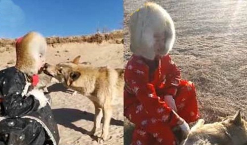 Cô gái trẻ dọa bạn trai chạy mất dép vì nuôi sói - 1