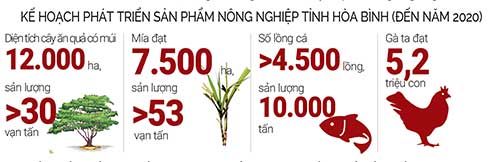 An toàn thực phẩm cuối năm 2018: Mớ rau, quả trứng cũng đòi xuất xứ - 2