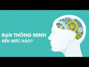 Giáo dục - du học - Bài test IQ giúp bạn xác định chỉ số thông minh của mình