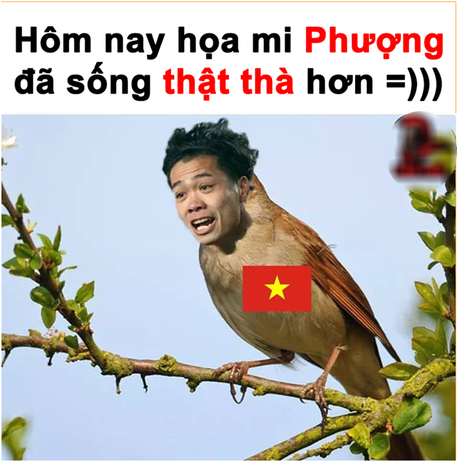 Hôm nay "họa mi Phượng" đã hót thật thà hơn.