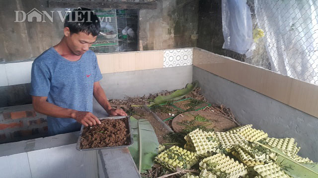 Bỏ vô lăng về quê nuôi chim ưa sạch và con &#34;chết sớm&#34;, lãi 13 triệu/tháng - 3