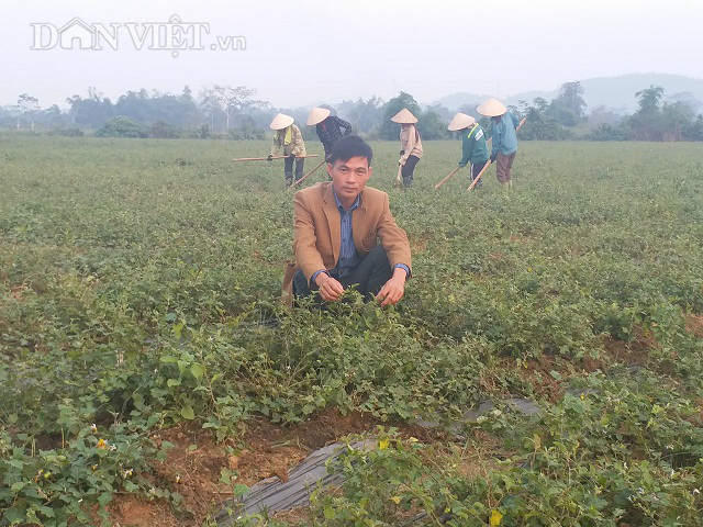 Giám đốc trẻ đưa cả làng ăn nên làm ra nhờ loài cây dại - 1