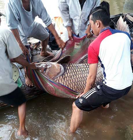 Nóng 24h qua: Vũ “nhôm” phát biểu thoải mái “chuyện tuyệt mật” tại toà - 3