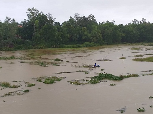 Mưa lớn chưa từng có, dân nuôi cá bè đau đớn nhìn tiền tỷ trôi sông - 3