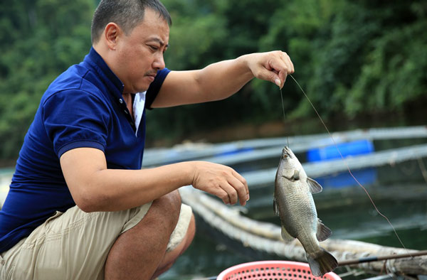 Nghệ An: Đổi đời nhờ nuôi những loài cá đặc sản trên hồ Hủa Na - 3