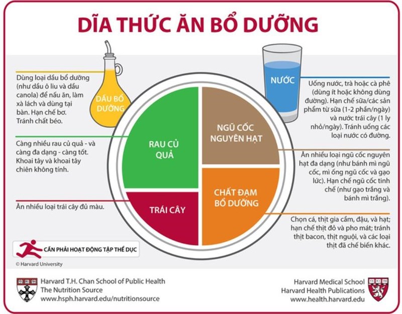 Chế độ ăn của chuyên gia dinh dưỡng Harvard có gì đặc biệt? - 1