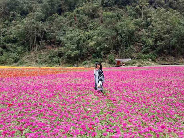 Ngỡ lạc chốn thiên đường ở thung lũng hoa đẹp ngất ngây ở Lạng Sơn