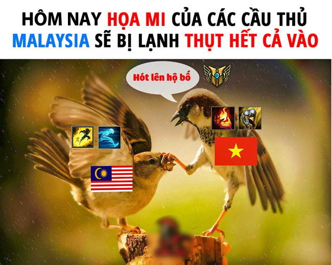 Hôm nay &#34;họa mi&#34; Mã Lai sẽ &#34;cóng&#34; không thể hót.