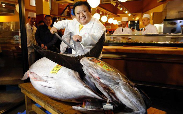 Điều gì đặc biệt khiến con cá này được bán với giá 42 tỷ đồng? - 1