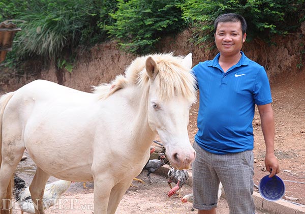 Ở nơi này, dân đổi đời nhờ nuôi loài bạch mã trên thảo nguyên - 3