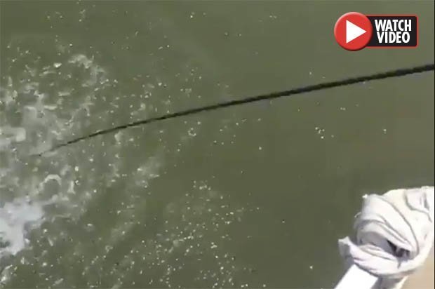 Video: Ngư dân khuấy động mặt nước, thứ xuất hiện sau đó gây hãi hùng - 1