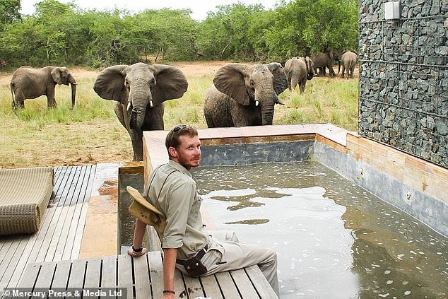 Nam Phi: Thợ săn bị voi nặng 6 tấn lên cơn động đực giẫm chết - 1