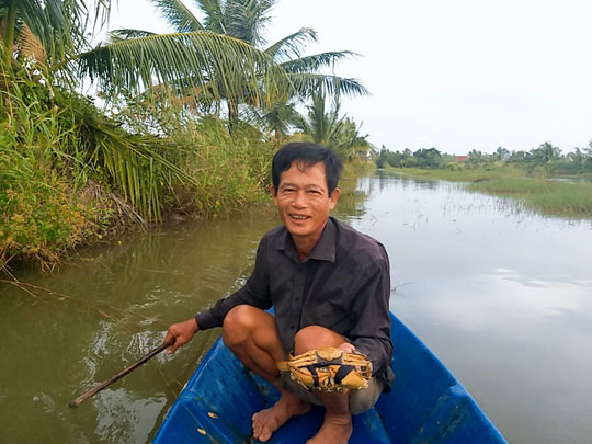 Không cần thị trường Trung Quốc, giá cua Cà Mau vẫn &#34;nhảy múa&#34; - 3