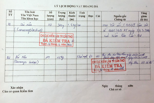 Lấy tre nuôi dúi, “bỏ túi” 30 triệu đồng/tháng - 8