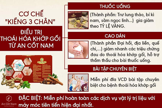 Thoái hóa khớp gối là gì? Nguyên nhân, dấu hiệu và cách chữa bệnh - 4