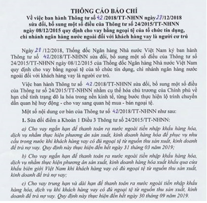 Dừng cho vay ngoại tệ ngắn hạn sau ngày 31.3.2019 - 1