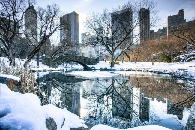 Công viên Trung tâm, New York, Mỹ: Có nhiều lý do để tới thành phố New York vào dịp nghỉ lễ cuối năm và công viên Trung tâm là điểm đến không thể bỏ qua cùng với quảng trường Thời đại.