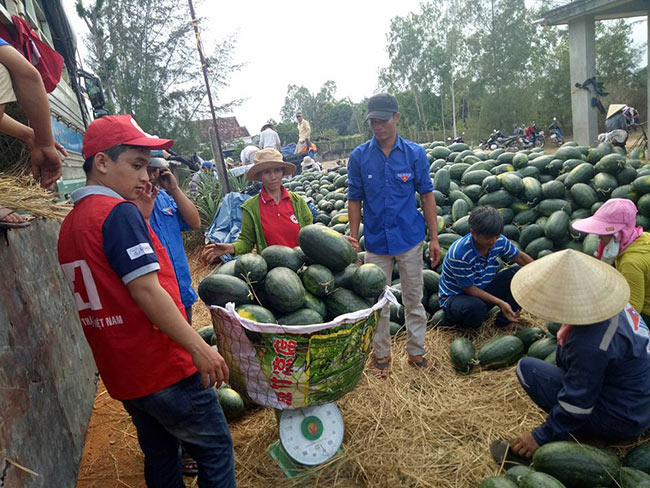 Vị đắng nông sản 2018: Một năm &#34;giải cứu&#34; - 1